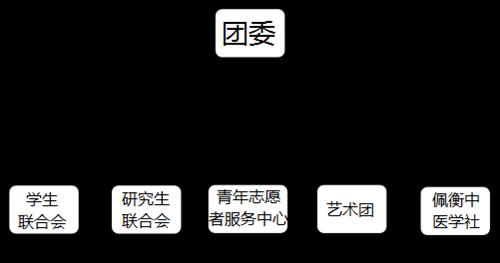 团委组织结构图.png