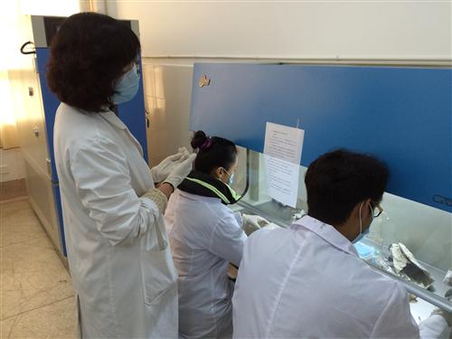 教师指导学生实验操作 017.jpg