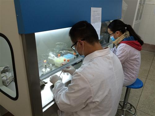 学生实验操作 038.jpg