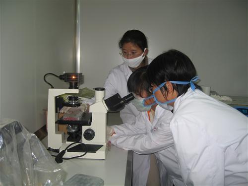 定学生实验1 133.JPG