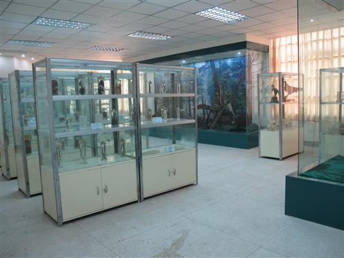 生物标本室.jpg
