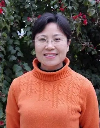 王志红
